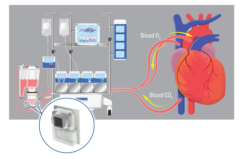BIOLAB - Capteur pression artérielle